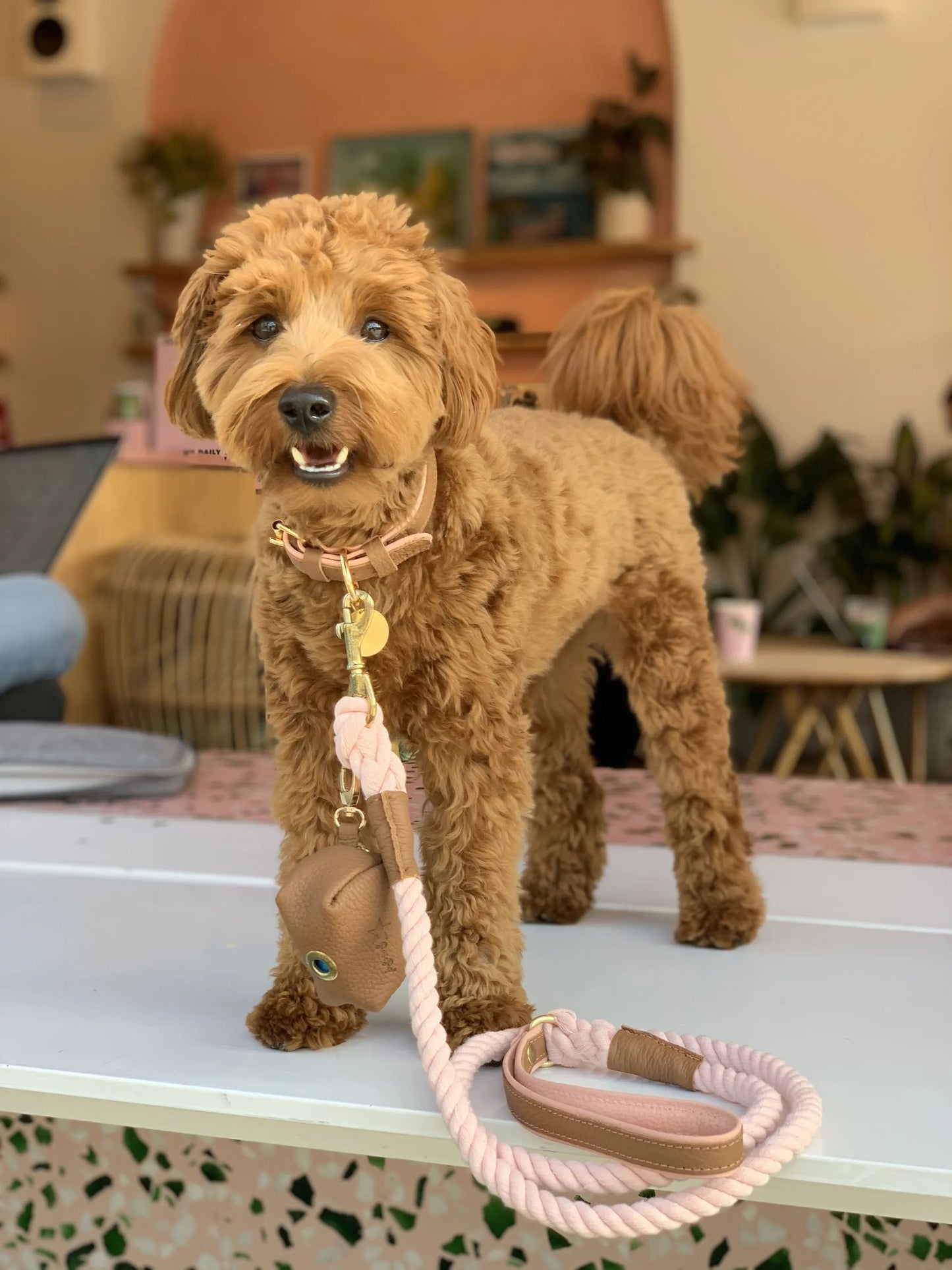 Rope Dog Leash