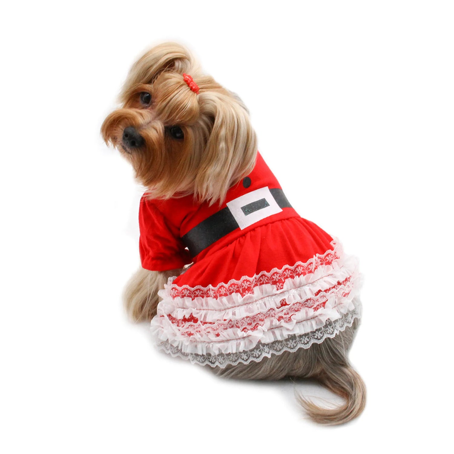 The Holiday Pawty Collection