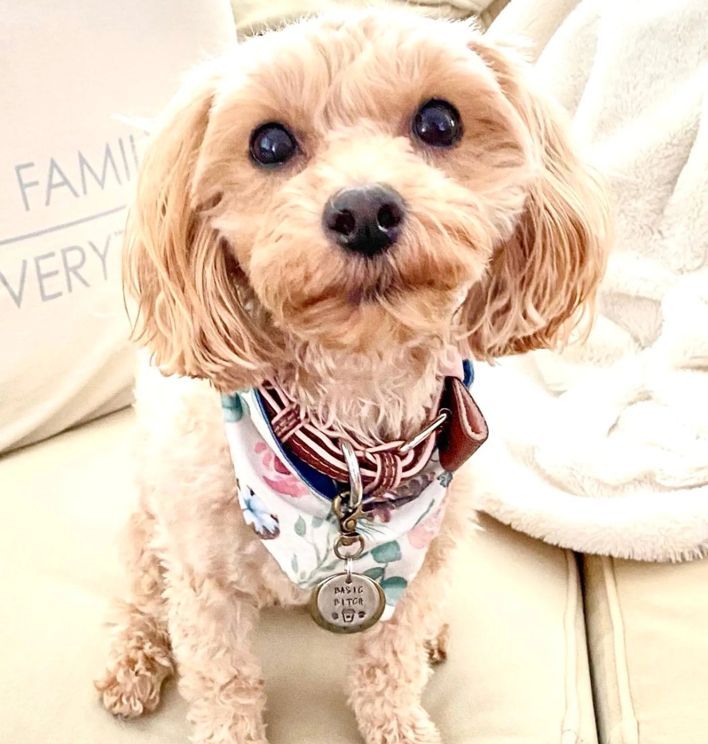 Genuine Leather Dog Bow Tie