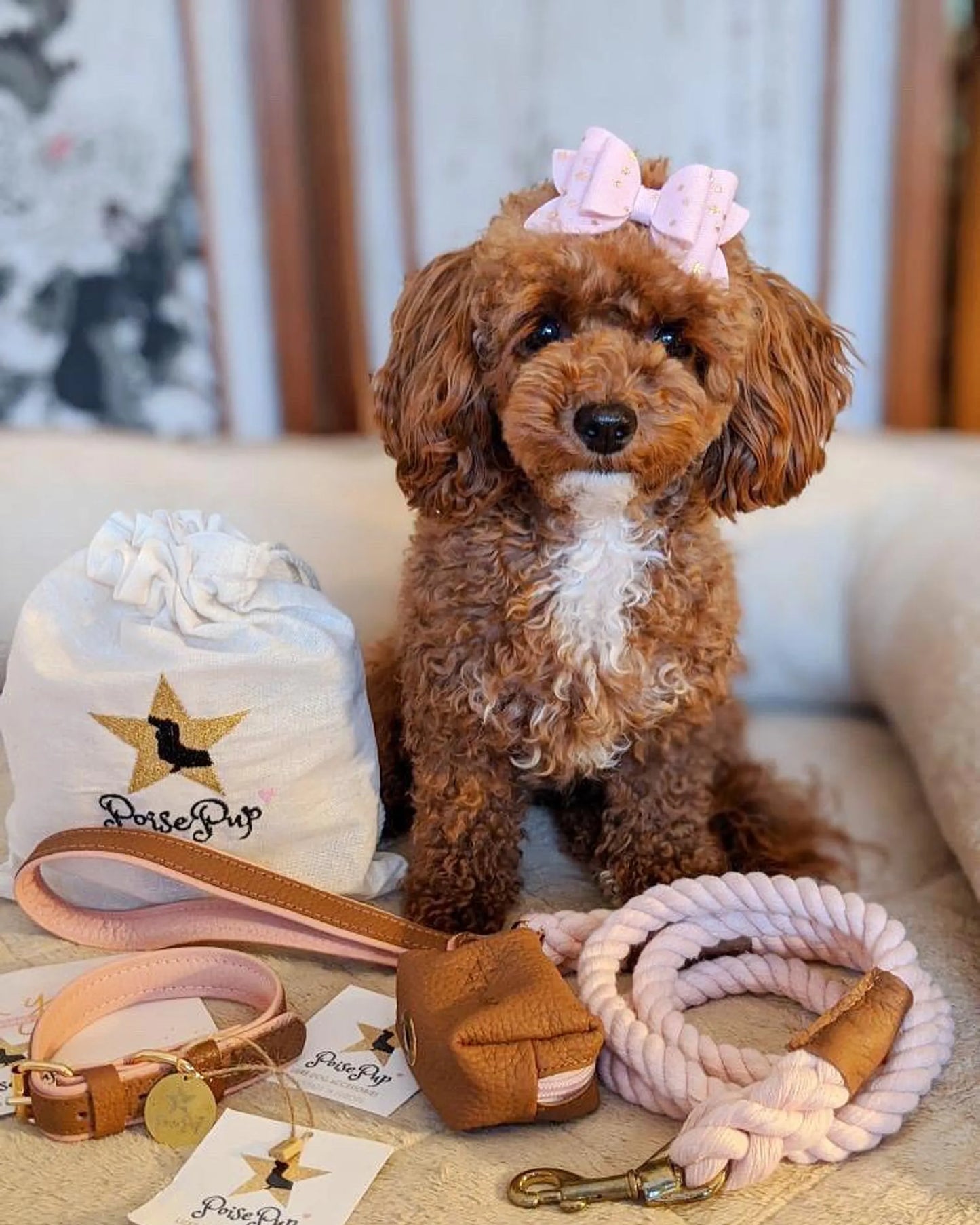 Genuine Leather Dog Collar