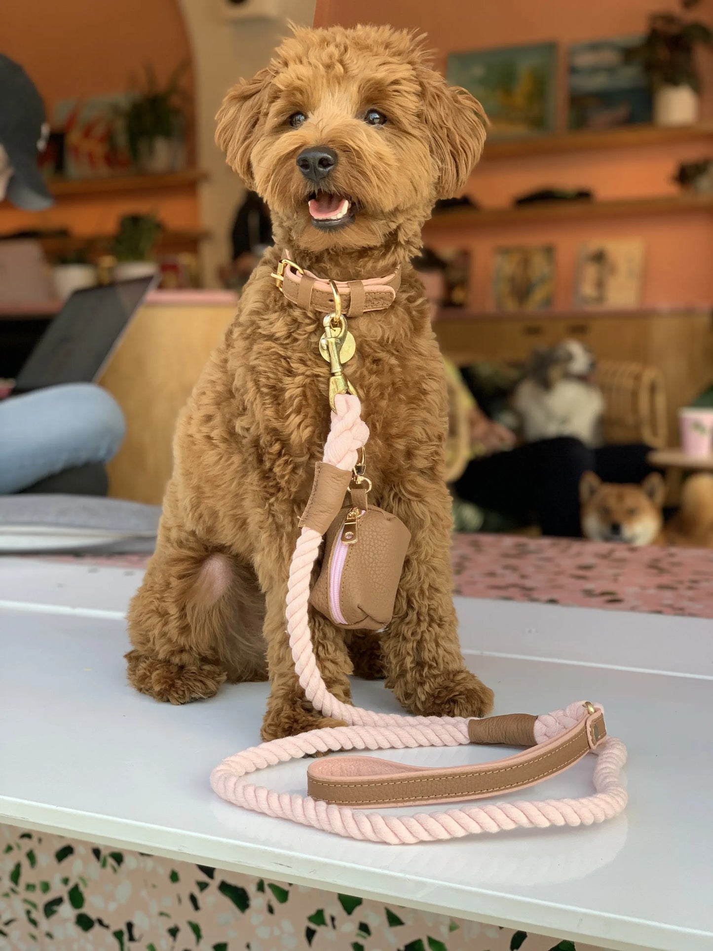 Rope Dog Leash